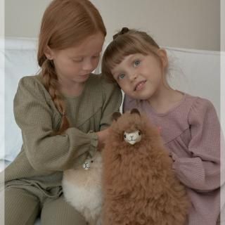 2025aw1ROSETTE25(90cm~125cm)ǥå  /* H08