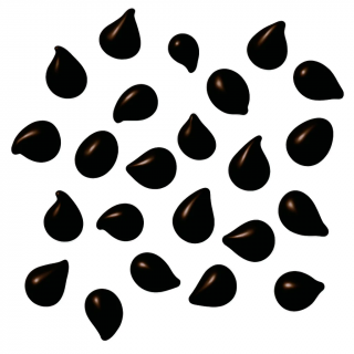 祳åףУɣΣȣţ 1.5kg(11-3ﲹ)