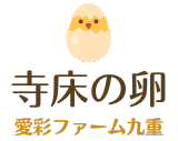 九州卵 美味しい卵のお取り寄せ通販 | 寺床の卵（池田卵）