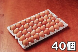 自然卵 40個
