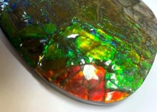 Ammolite 2122032