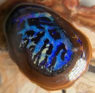 Boulder Opal 2222113