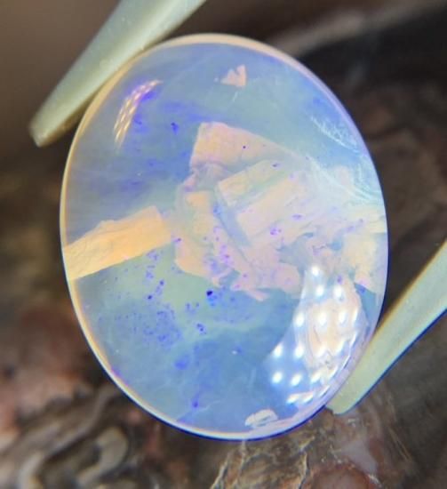 Wood Opal （ウッドオパール）25240106 - TEN-SEKI