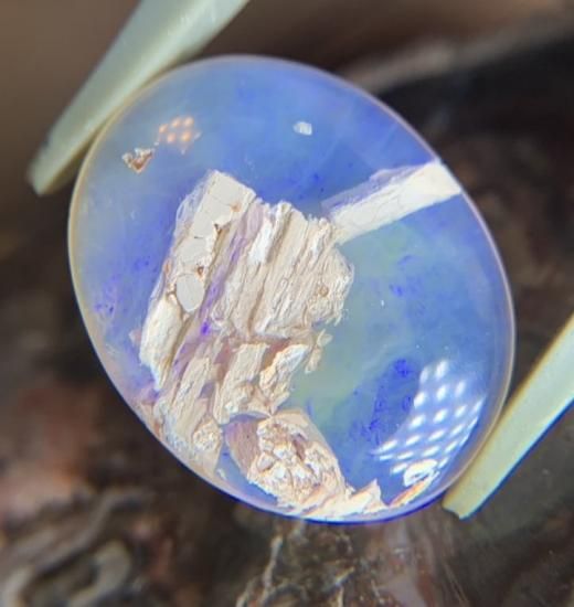 Wood Opal （ウッドオパール）25240106 - TEN-SEKI