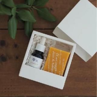 ڥǥ饨äפۥǥߥ˥եȥå