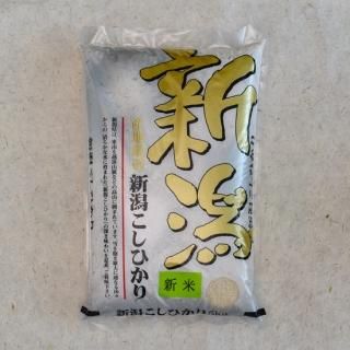 㻺ҥ 5kg  7ǯۿ<img class='new_mark_img2' src='https://img.shop-pro.jp/img/new/icons13.gif' style='border:none;display:inline;margin:0px;padding:0px;width:auto;' />