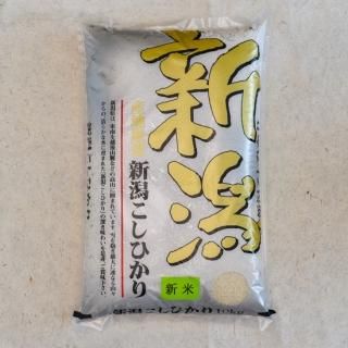 㻺ҥ 10kg 7ǯۿ<img class='new_mark_img2' src='https://img.shop-pro.jp/img/new/icons13.gif' style='border:none;display:inline;margin:0px;padding:0px;width:auto;' />