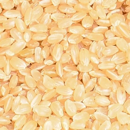 玄米量り売り(分づき米可)〉長野県塩田産コシヒカリ 1kg単位 玄米量り売り(分づき米可)〉長野県塩田産コシヒカリ 1kg単位
