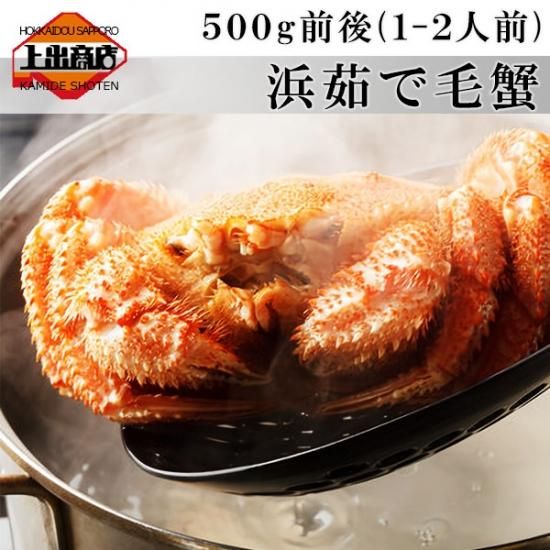 ボイル済】活から茹でた大人気 毛ガニ 1尾500g前後 - 上出商店
