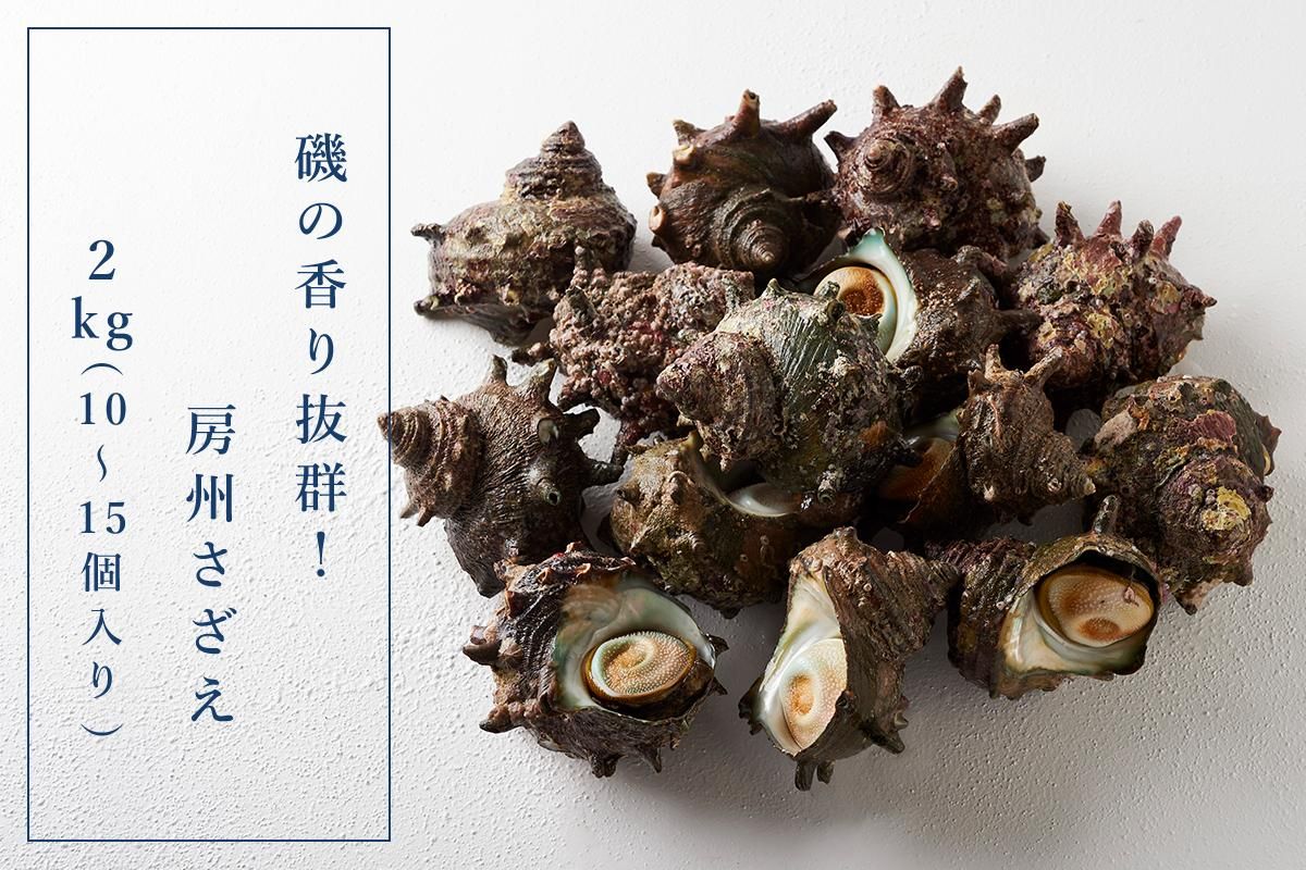 磯の香り抜群!房州さざえ2kg(10～15個入り) - 伊勢海老やサザエ