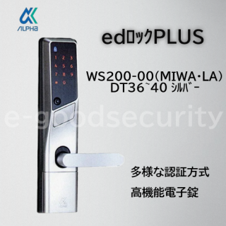 ALPHA edێPLUS WS200-00(MIWALA)DT36~40 َʎގ