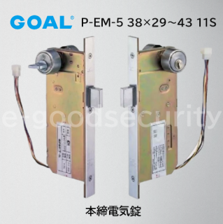 GOAL P-EM-5 382943 11S