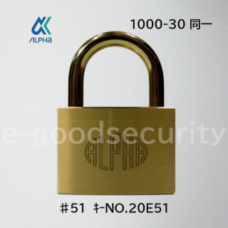 ALPHA 1000-30 Ʊ51NO.20E51