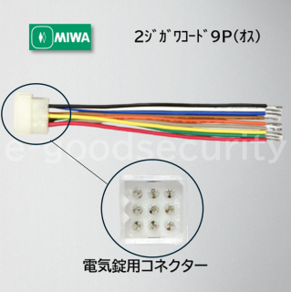 MIWA 2ގގ܎Ď9Pʎ