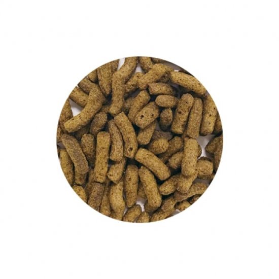 ジェックス エキゾテラ レオパブレンドフード120g 昆虫食 飼育用品