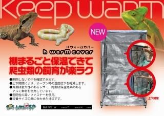 活餌 デュビア S 20匹 - えいちれぷたいるず