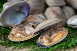 根室産】天然特大アサリ貝1Kg【冷蔵】 - マルイチダイ大場水産株式会社