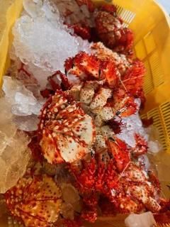 顡ֺ饬ˡषƤʤ