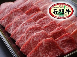 石垣牛焼肉(500g) - 石垣牛専門店担たん亭オフィシャルショッピングサイト～石垣牛を石垣島から全国へ～