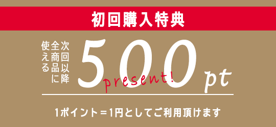 500ݥȥץ쥼ȡ