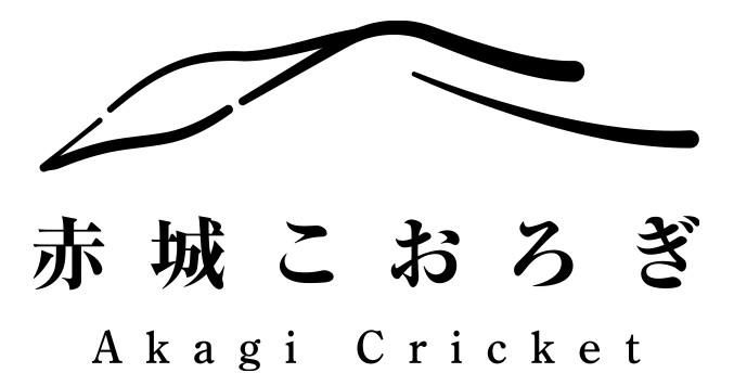 ־뤳 饤󥹥ȥ