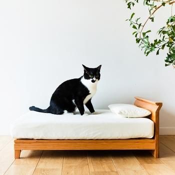 Raffine Cat bed