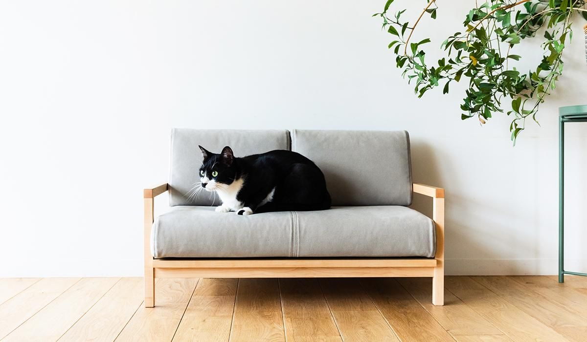 クランク キャットソファ CLANK Cat sofa(ネコソファ) クランク キャットソファ CLANK Cat sofa(ネコソファ)