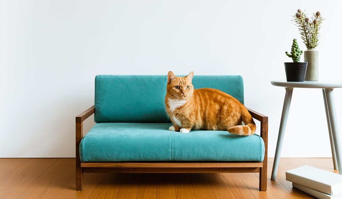 クランク キャットソファ CLANK Cat sofa(ネコソファ) クランク キャットソファ CLANK Cat sofa(ネコソファ)