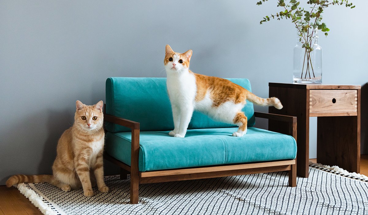 クランク キャットソファ CLANK Cat sofa（ネコソファ）