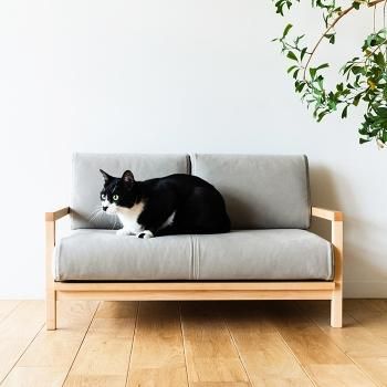 CLANK Cat sofa