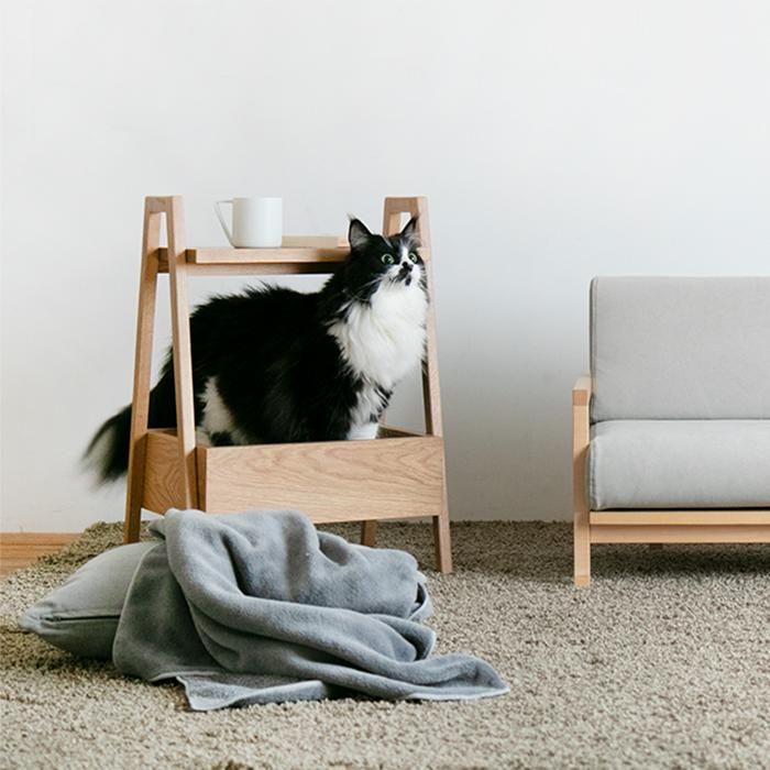 ネコ Sale ラバトリーウッド　北欧ST 板座　ベンチチェア　コンパクト リラクシング サイドベッド Relaxing Side Bed（ネコベッド）