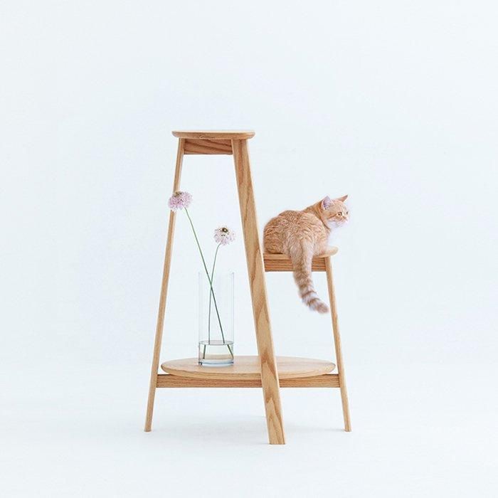 てるてるぼーず　キャットステップ キャットステップ Cat step（RONRONNER）