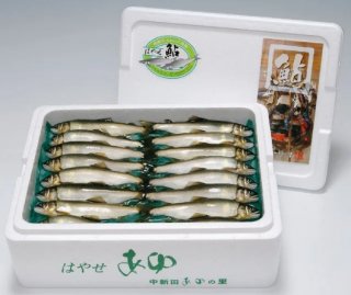 Ϥ䤻褭ᡡ1kg