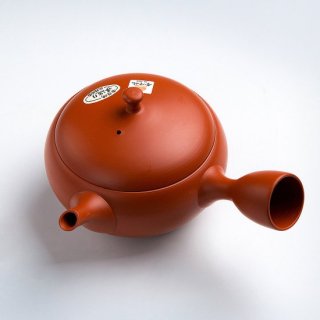 Tea pot for green tea HOKURYU (250cc)