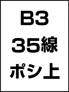 B3・35線・ポシ・膜面上の商品画像