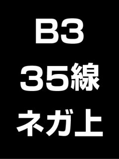 B3・35線・ネガ・膜面上の商品画像