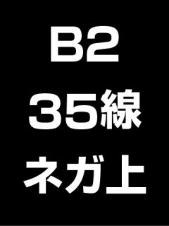 B2・35線・ネガ・膜面上の商品画像