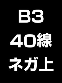 B3・40線・ネガ・膜面上の商品画像