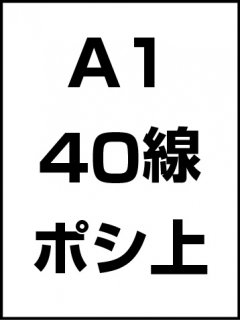 A1・40線・ポシ・膜面上の商品画像