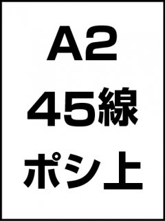A2・45線・ポシ・膜面上の商品画像