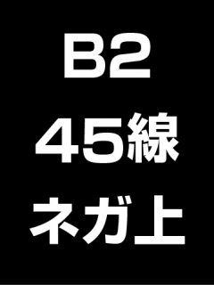 B2・45線・ネガ・膜面上の商品画像