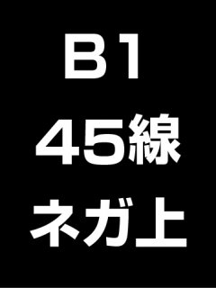 B1・45線・ネガ・膜面上の商品画像