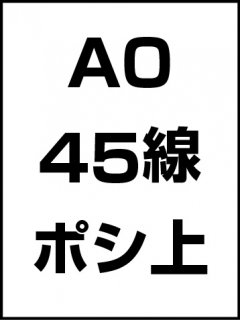A0・45線・ポシ・膜面上の商品画像