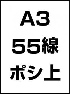 A355ݥ̾ξʲ