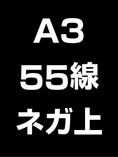 A3・55線・ネガ・膜面上の商品画像