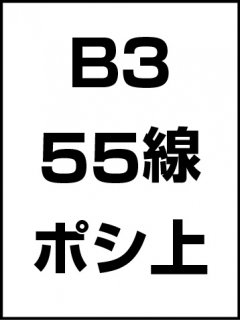 B3・55線・ポシ・膜面上の商品画像