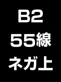 B2・55線・ネガ・膜面上の商品画像