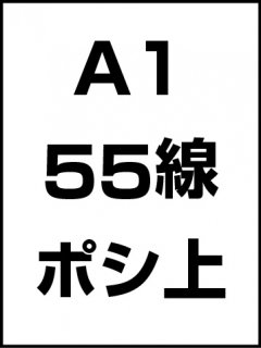 A1・55線・ポシ・膜面上の商品画像