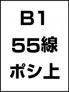 B1・55線・ポシ・膜面上の商品画像