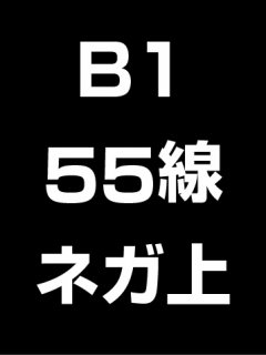 B1・55線・ネガ・膜面上の商品画像